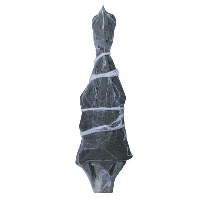 Halloween Pop Skelet In Spinnenweb