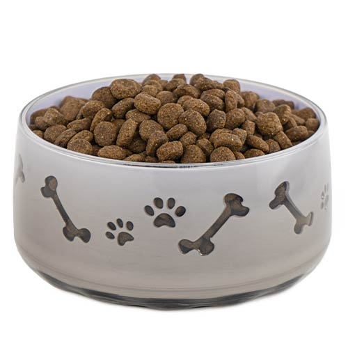 Alimentador Pet Paw CINZA 1000 ML
