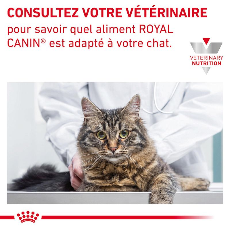 Royal Canin Veterinary Hepatic