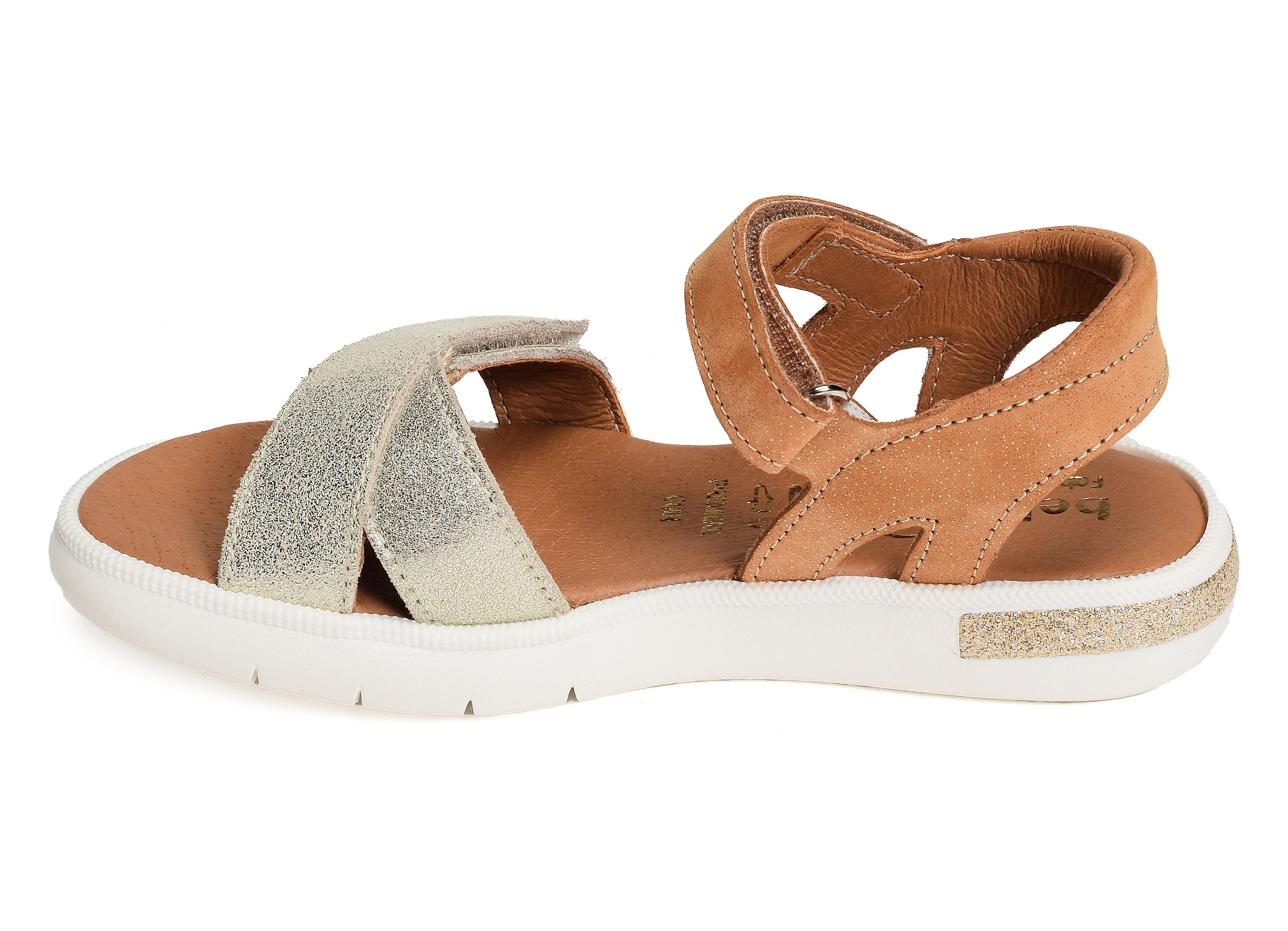 Evi camel or