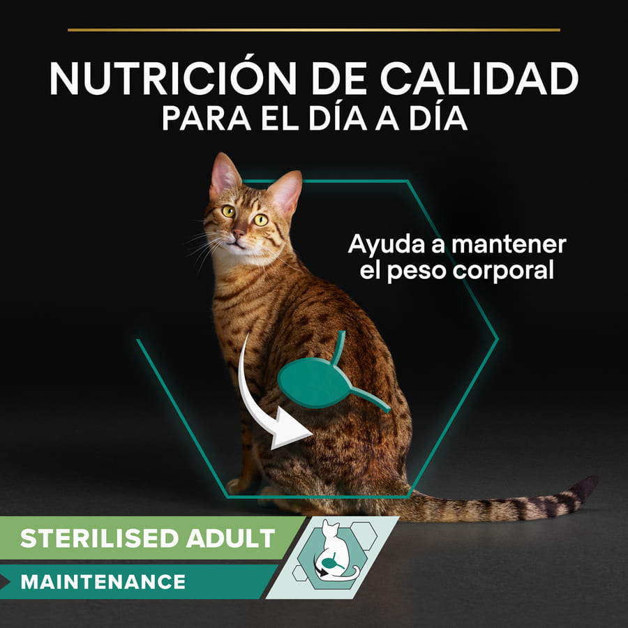 Sachê esterilizado Pro Plan para manutenção com carne ao molho para gatos.