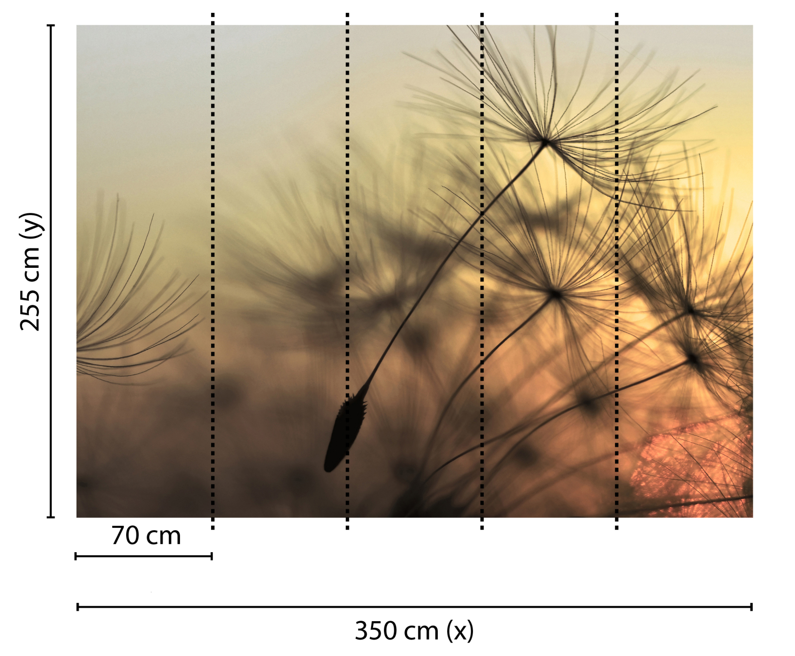 Fototapete DESIGNWALLS - gelb-schwarz - Blumen - 2,55 Meter