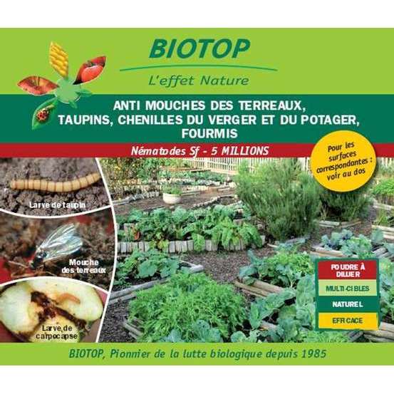 Nematode sf anti mouche terreaux, taupins… - 5m pour 10m2