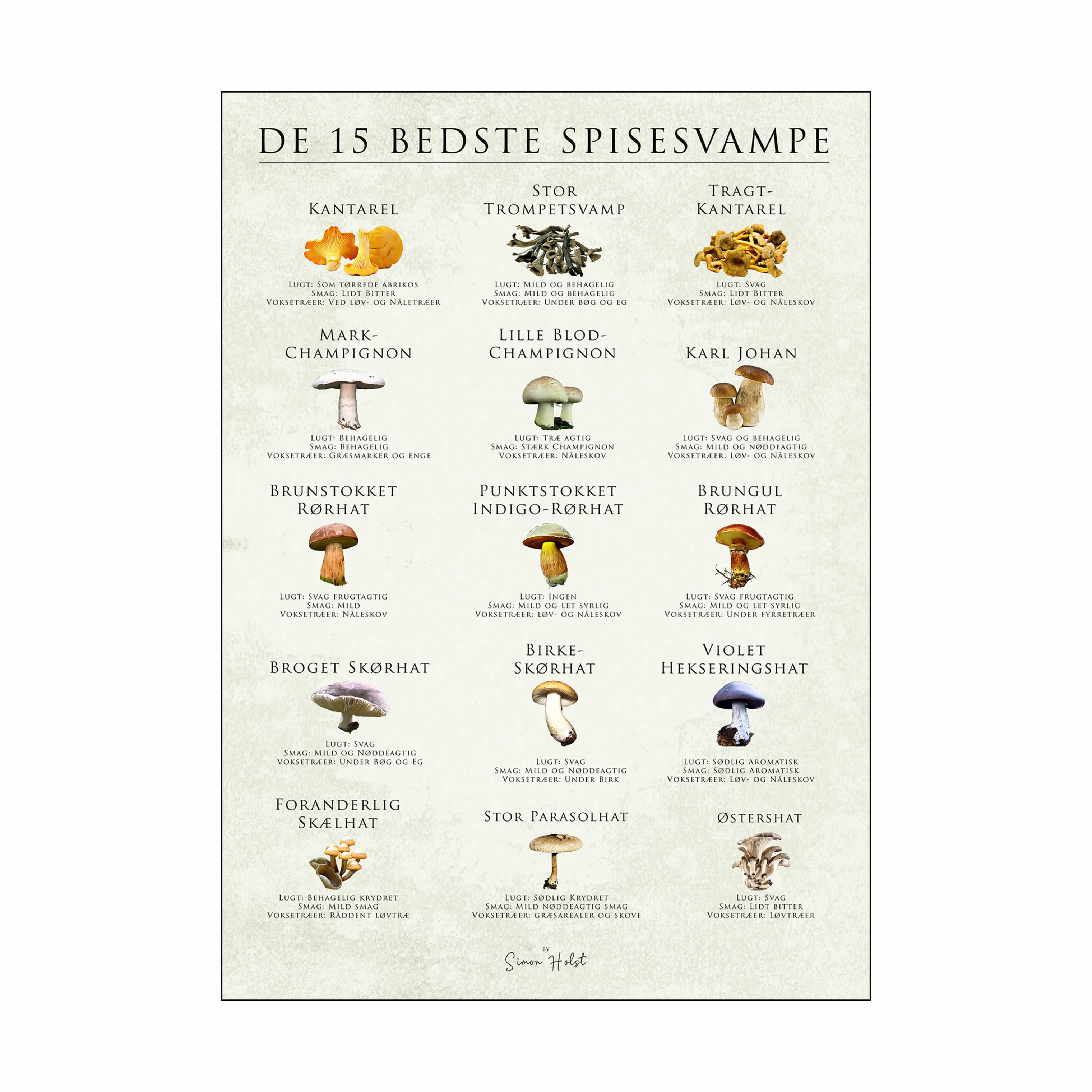 Poster&Frame Plakat - De 15 Bedste Spisesvampe
