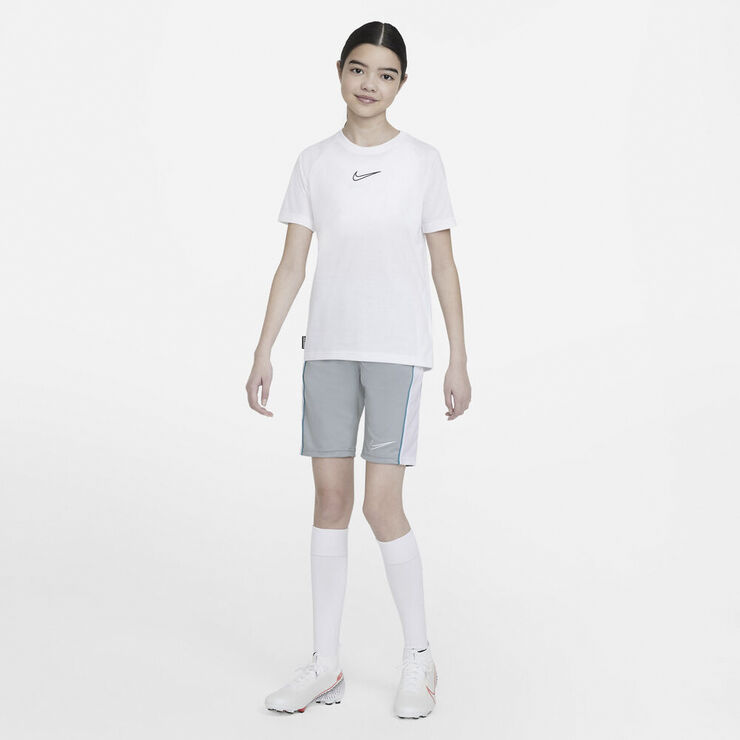 Nike Dri Fit Academy Shorts Grå