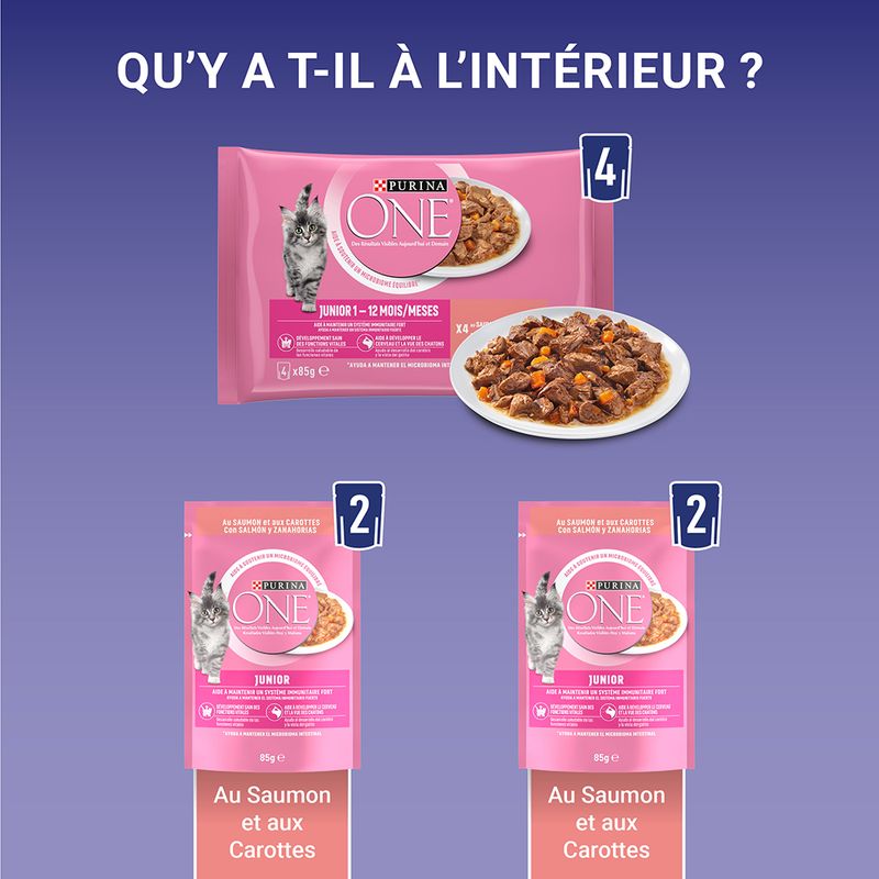 PURINA ONE Junior, saumon & carottes