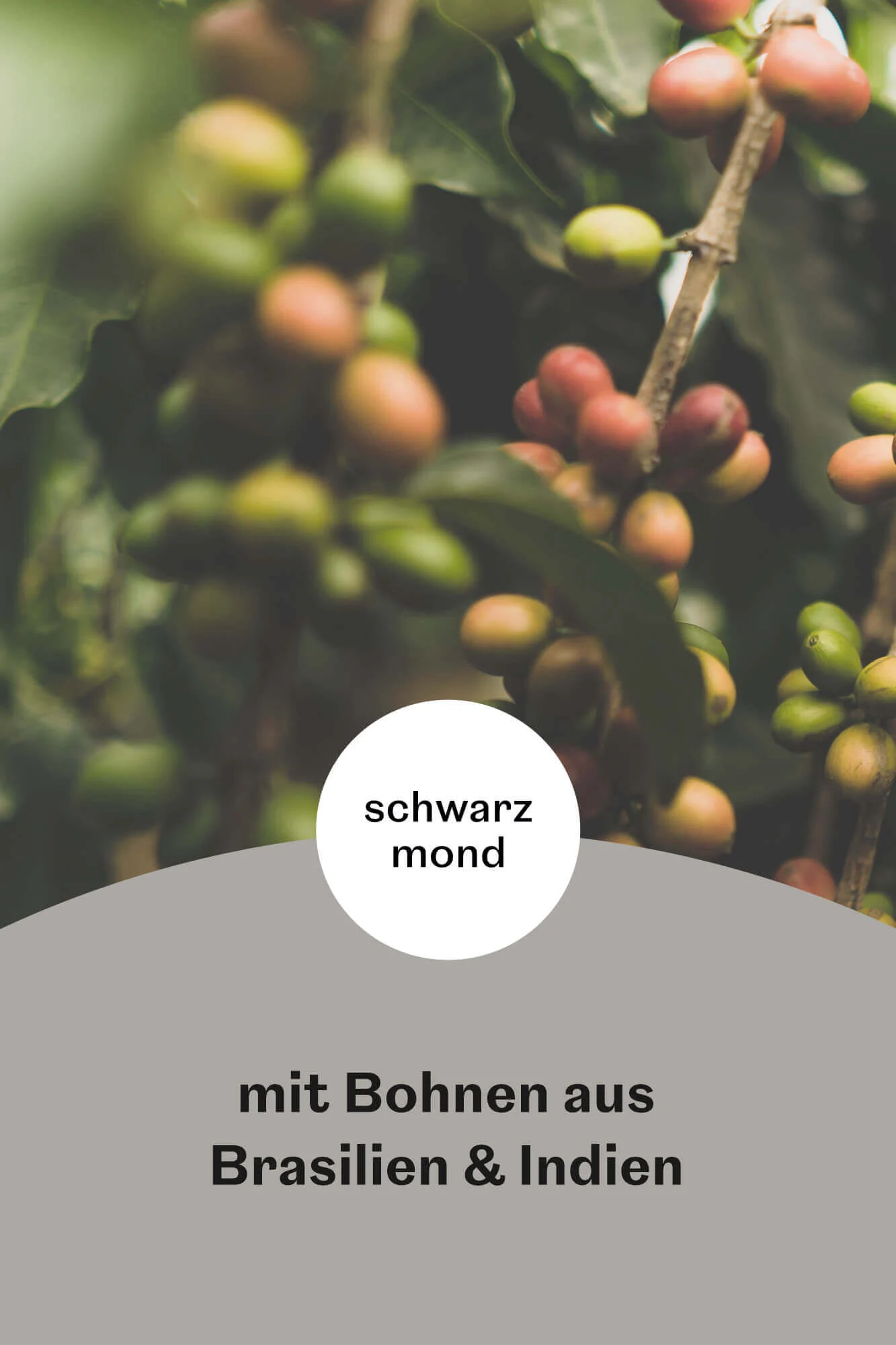Schwarzmond Pluto Vorteilspaket 2kg