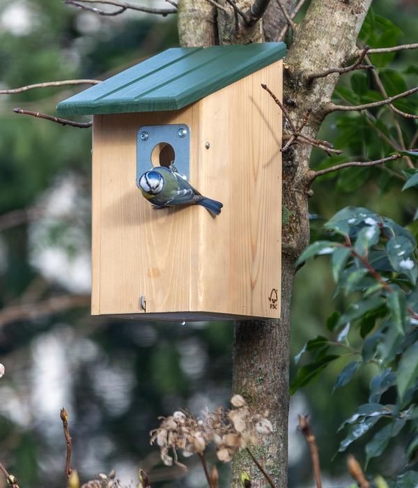 CJ Wildlife Raubtierschutz-Nistkasten Seattle,