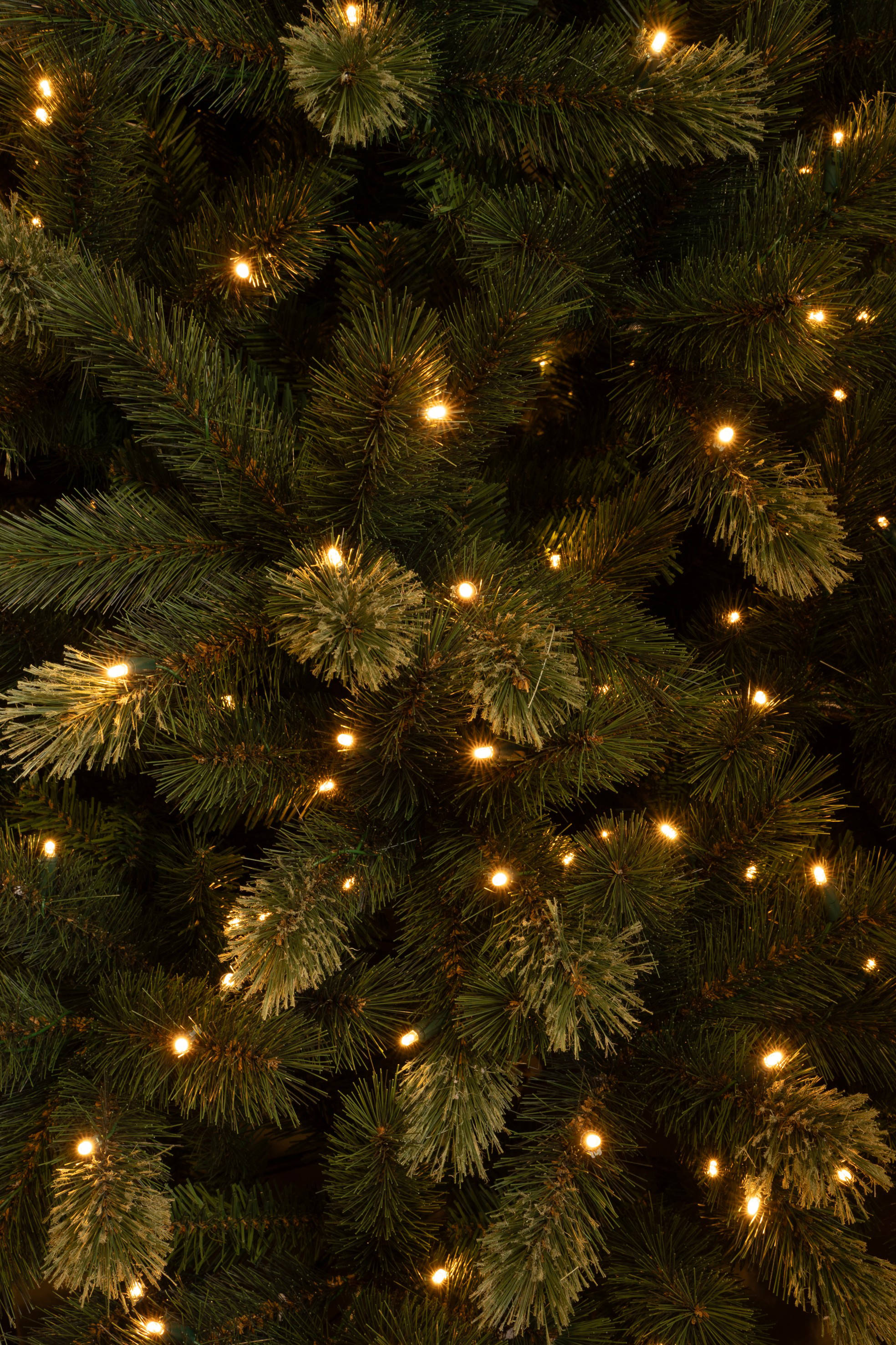 Black Box Trees verlichte kerstboom Darwell (h155xø99 cm)