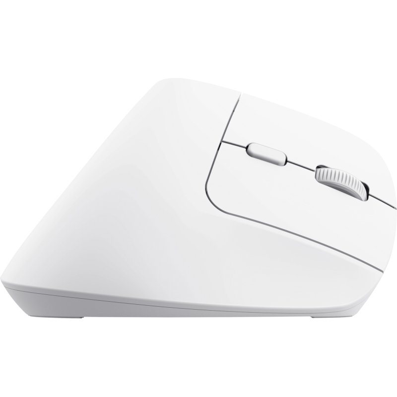Trust Bayo+ souris Bureau Droitier RF sans fil + Bluetooth Optique 2400 DPI