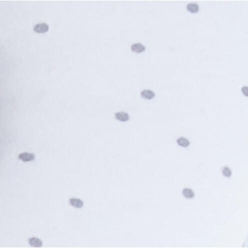 Panda Pad Premium Gris Pois - CANDIDE
