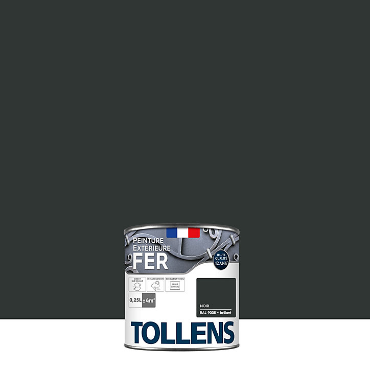 Peinture extérieure fer Tollens brillant noir 250ml