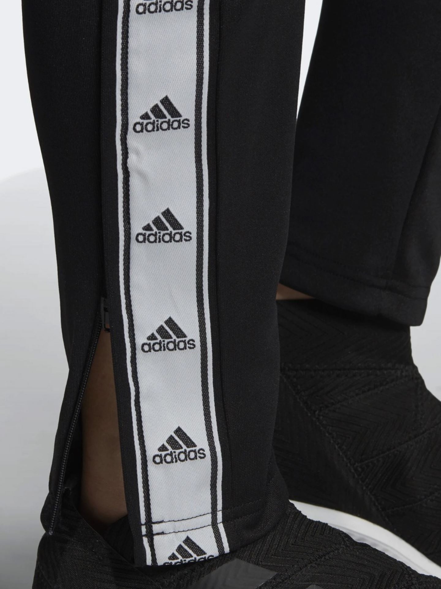Tiro 19 Pant Tapered Logo