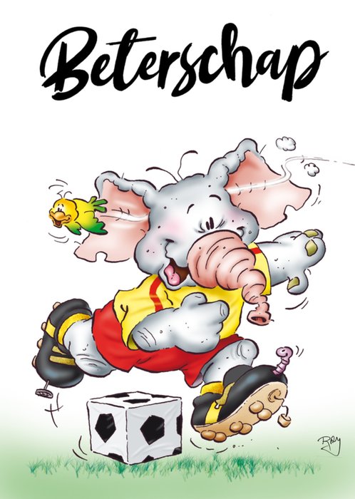 Doodles | Beterschapskaart | olifant | voetbal