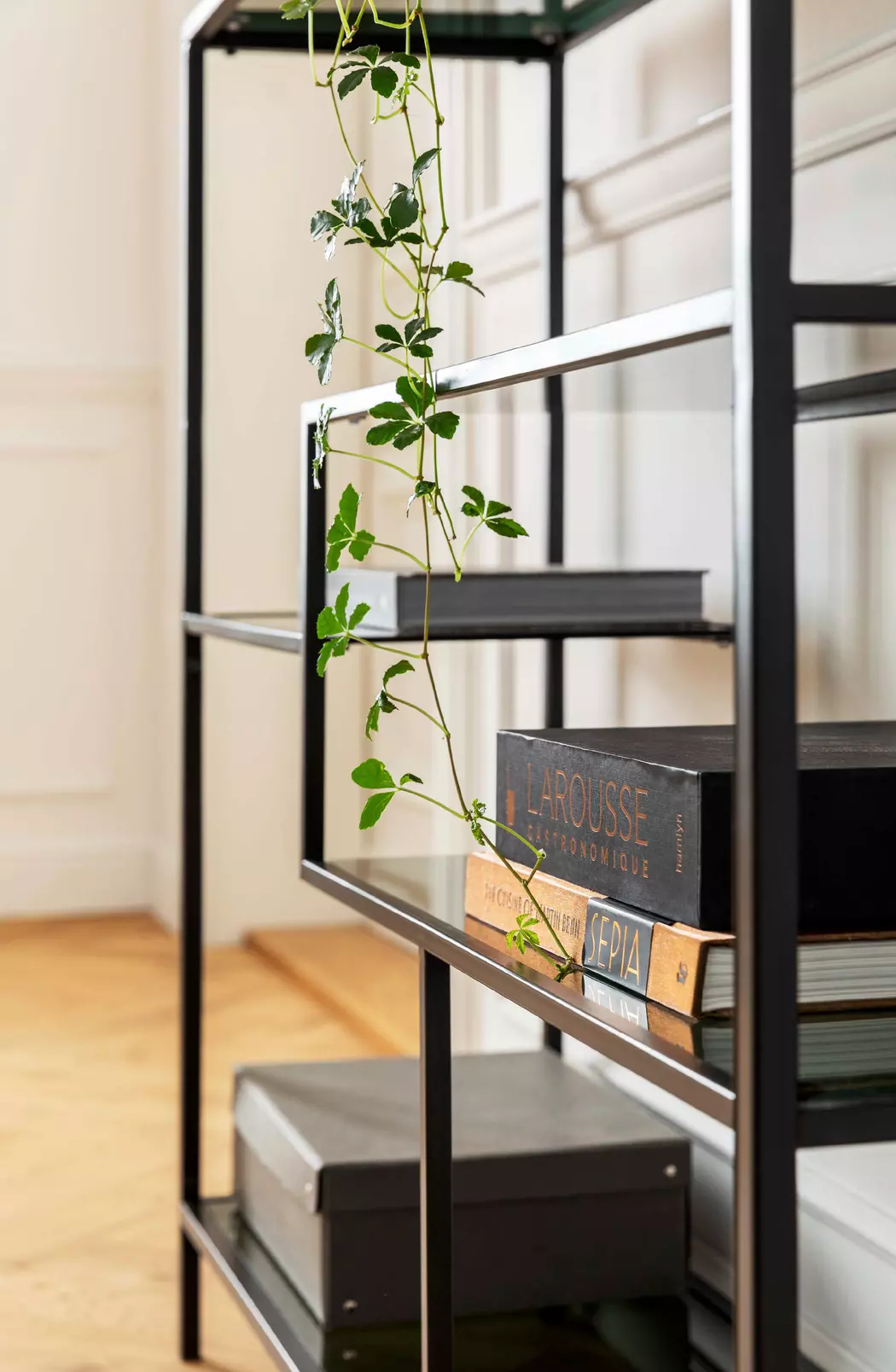 Regal 84124 Loft