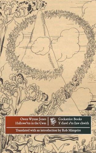 Hallowe'en in the Cwm: The Stories of Glasynys (Paperback)