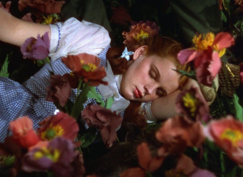The Wizard Of Oz - 4K Ultra HD Blu-ray