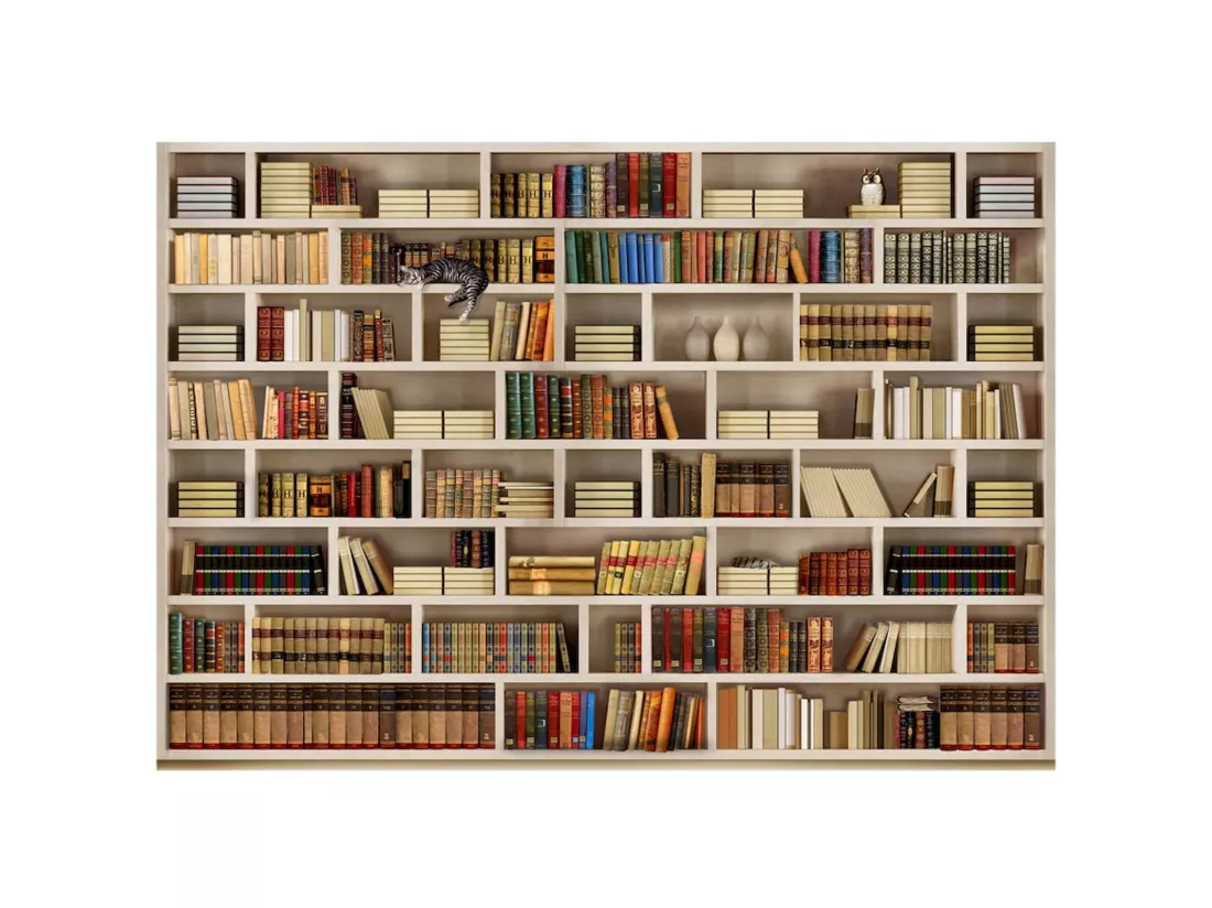 Papier peint adhésif Bibliothèque domestique - 294 x 210 cm