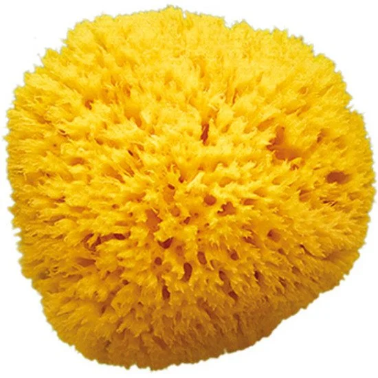 Eponge naturelle Honeycomb   T12   de               OK Baby