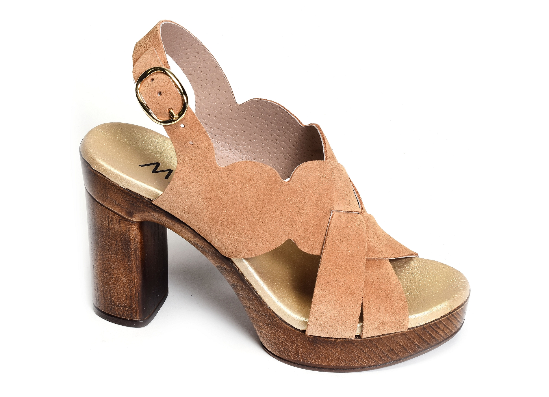 6579 camel
