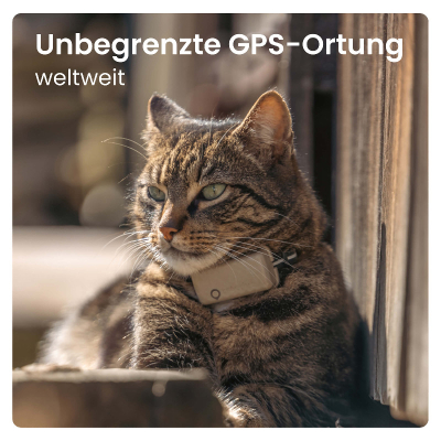 Tractive GPS Tracker Cat5 Mini für Katzen hellbraun