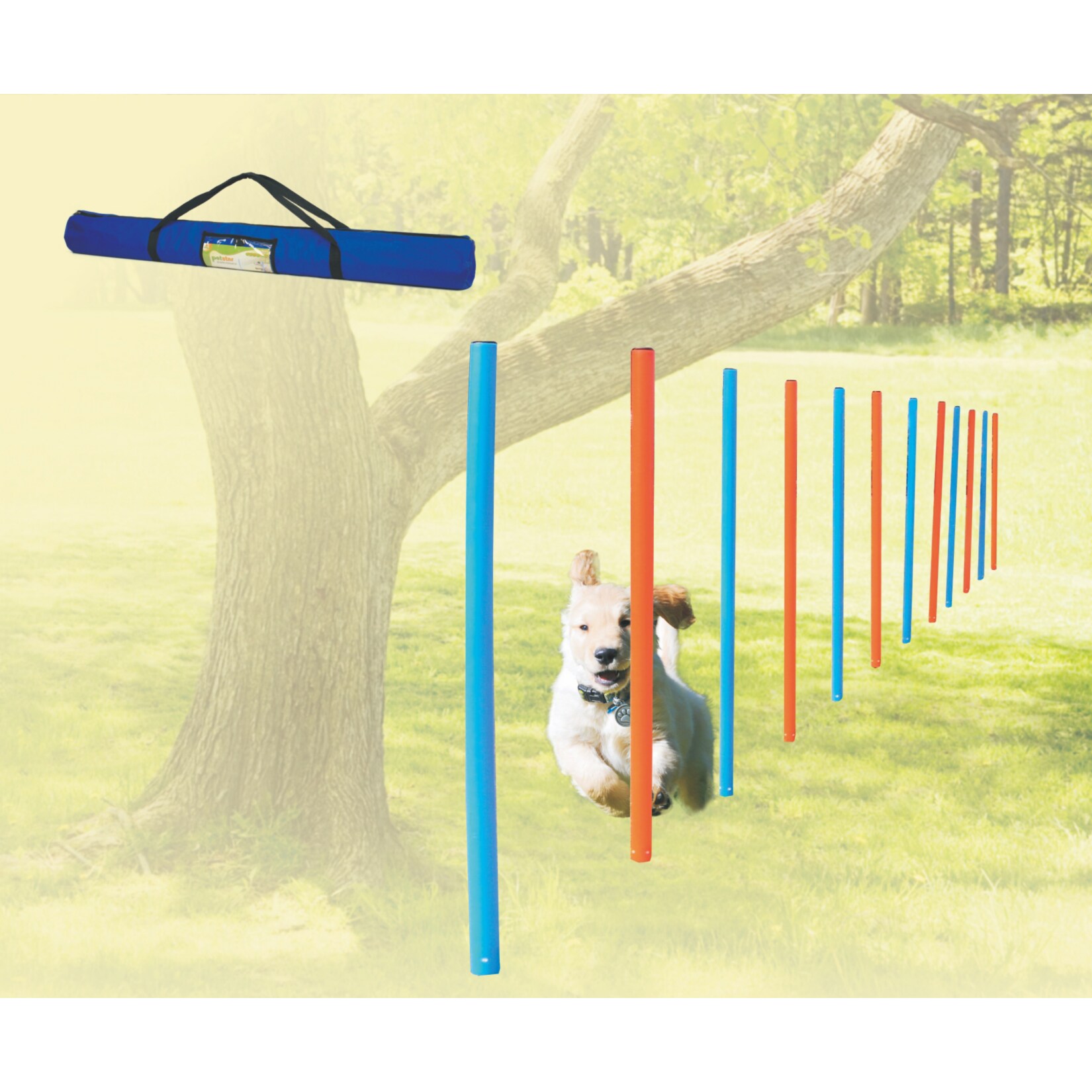 Dog - Agility - Slalom