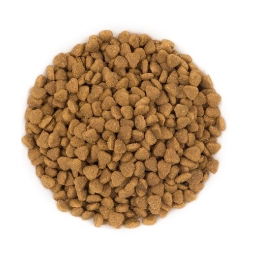 Ração Pure Brave Mini com Frango e Arroz para Cães de Pequeno Porte