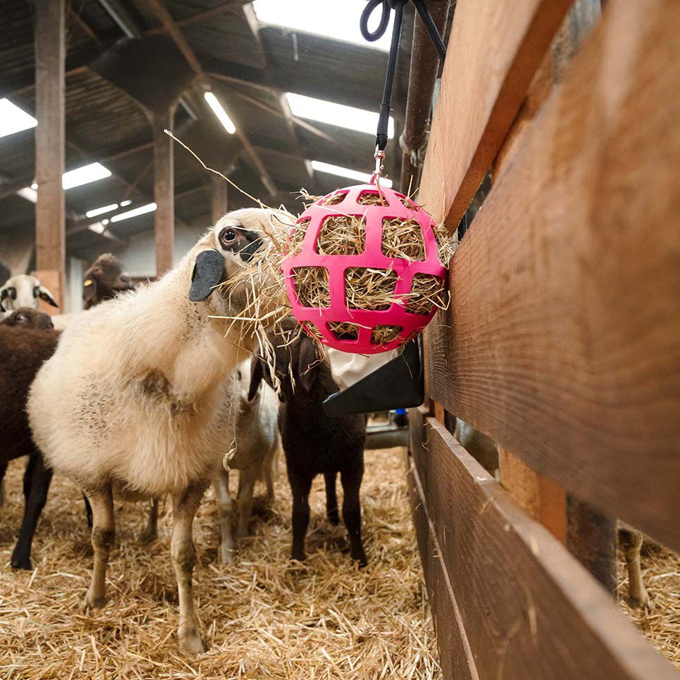 Excellent Hay Slowfeeder - Voerbal - Roze - 22x22x22 cm