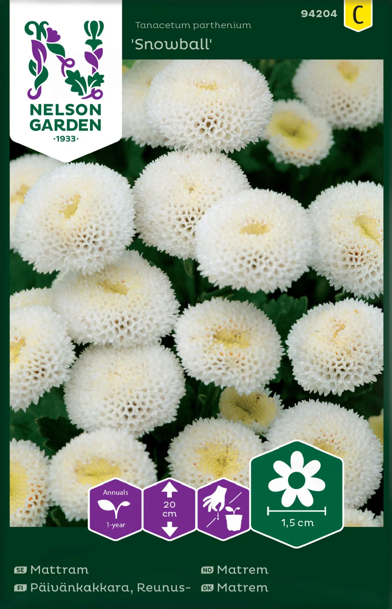 Tanacetum parthenium Matrem 'Snowball'