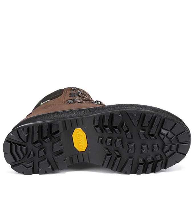 Hanwag Alaska Lady GTX Wandelschoenen erde-brown