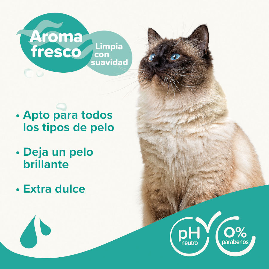 Shampoo Beaphar Extra Suave para Gatos