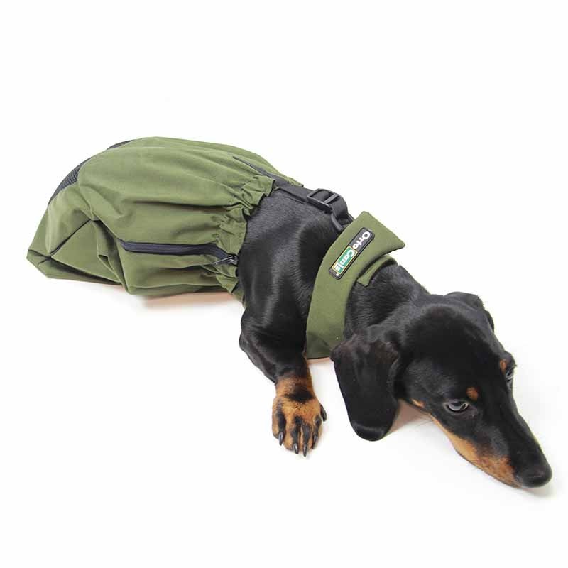 Casaco protetor para cães Ortocanis