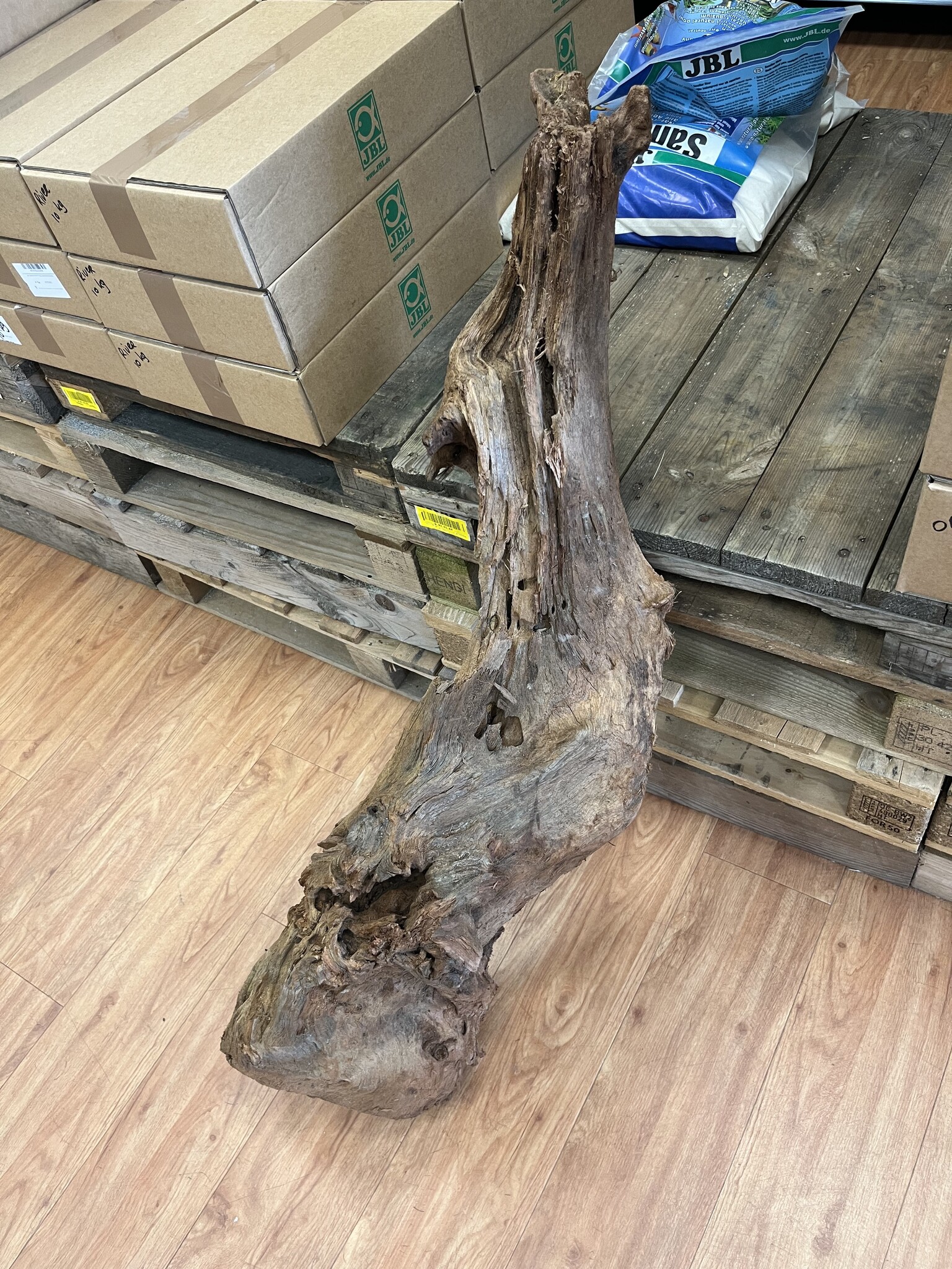 AQXL Selected Mangrovehout XL NR04 90-120cm