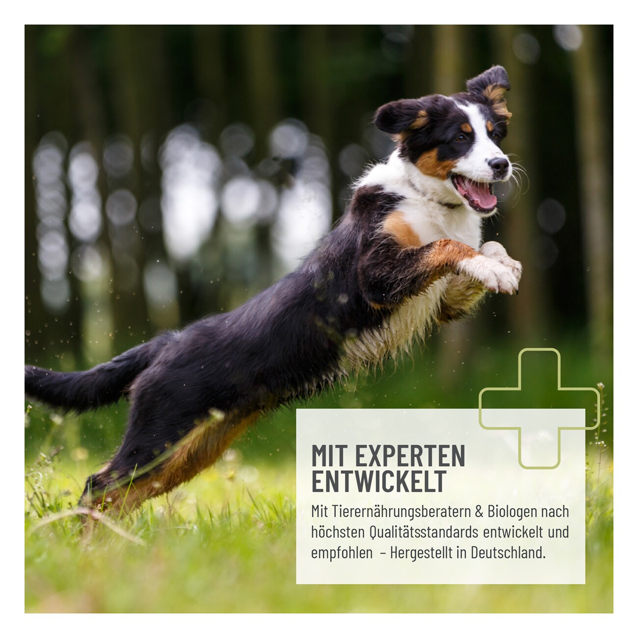 REAVET Vital Soft Happen - Pferd 100g
