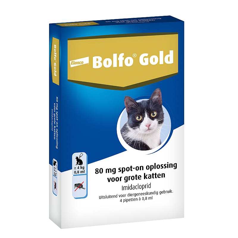 Bolfo Gold kat 40 tot 4 kg 2 pipetten