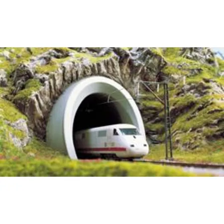 Busch ICE-Tunnelportal