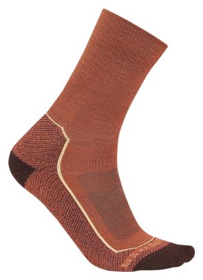 Chaussettes Femme Icebreaker Merino Hike  Marron