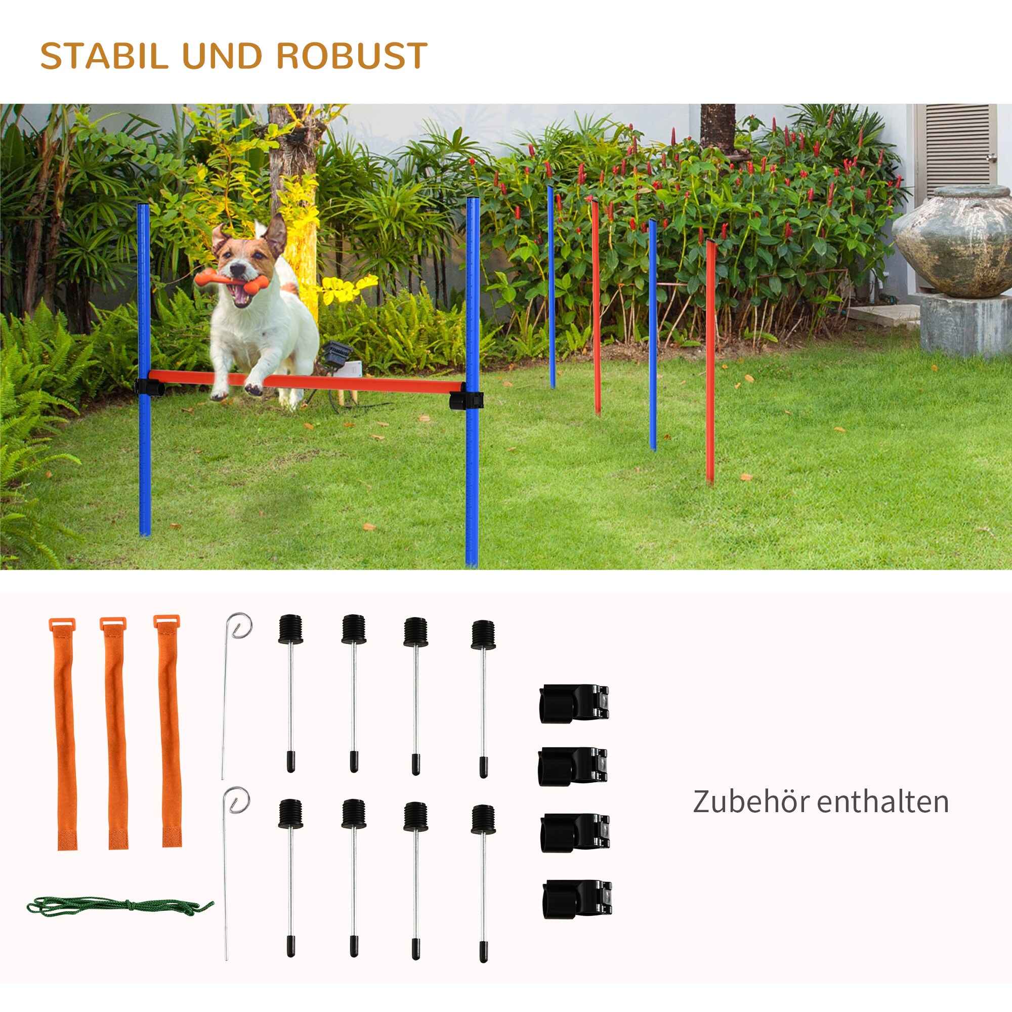 PawHut Hundesport blau, rot
