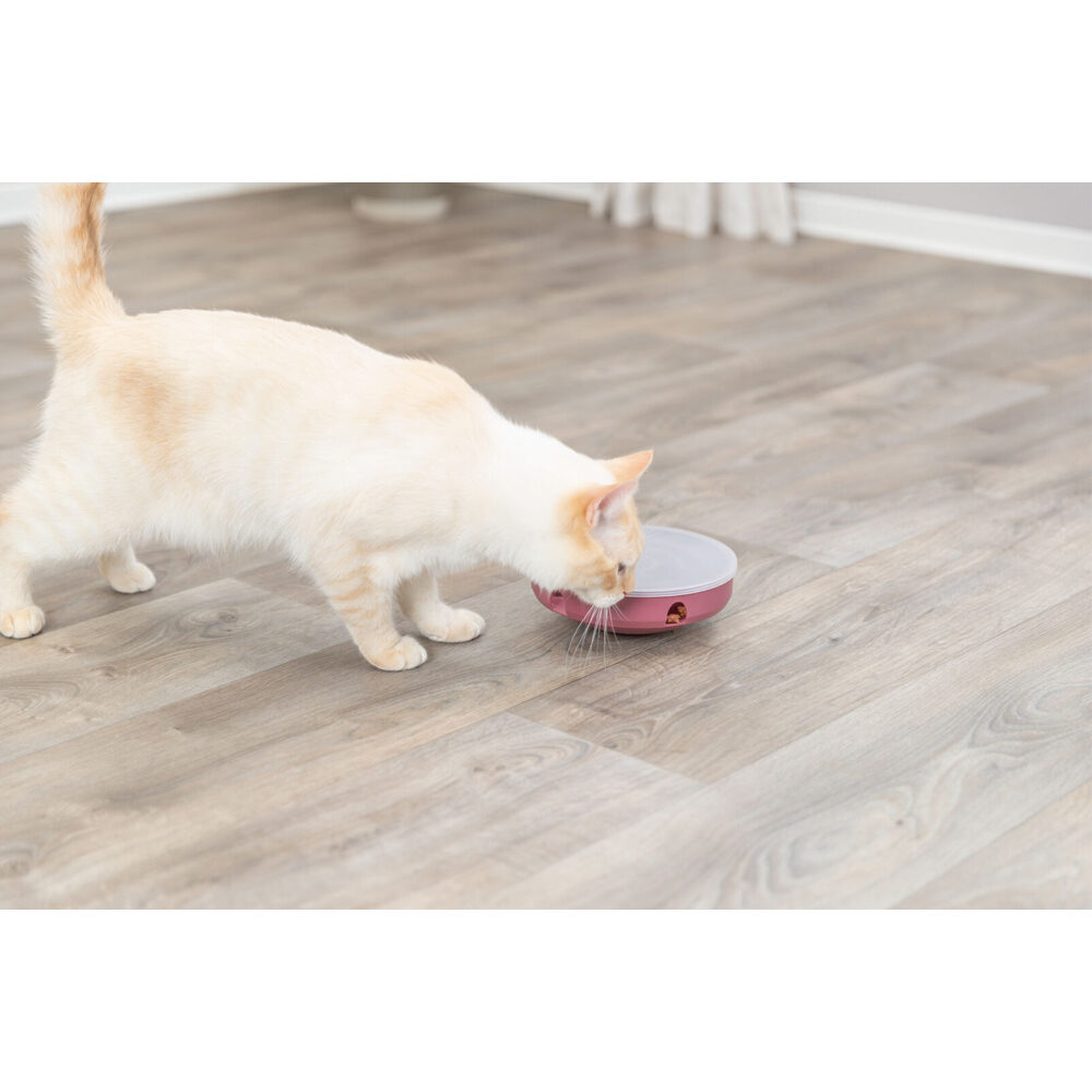 Trixie Cat Activity Rocking Maze