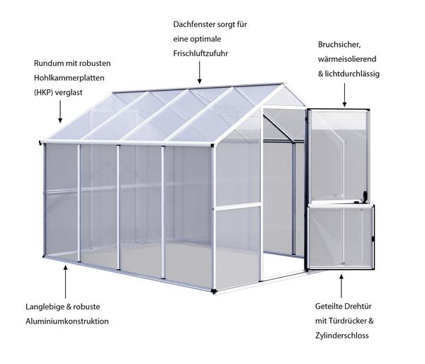 KGT Gewächshaus Callas