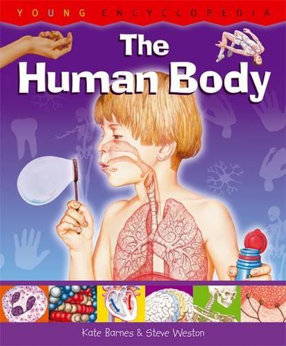 Human Body: Young Encyclopedia (Hardback)