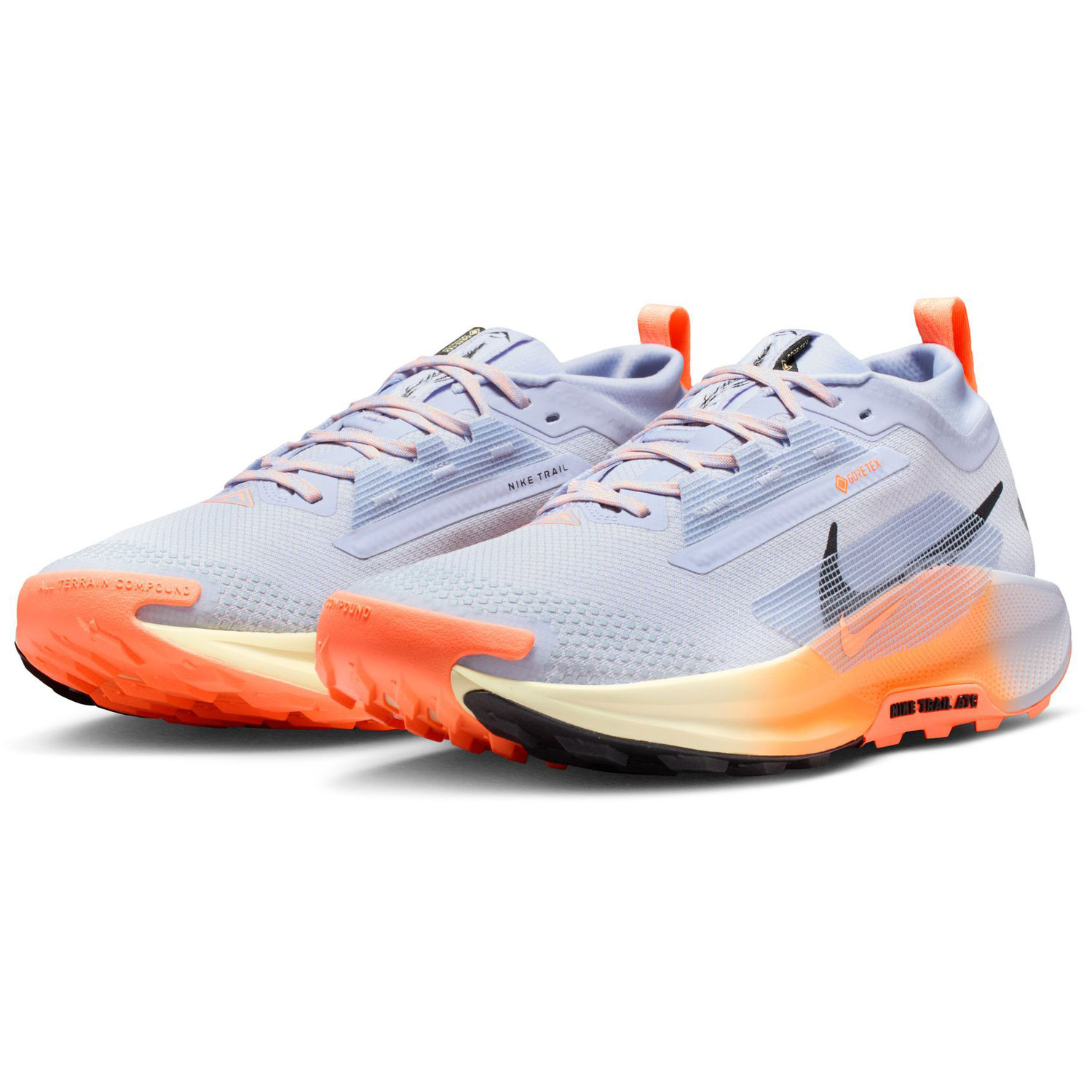 Nike Pegasus Trail 5 GTX Heren
