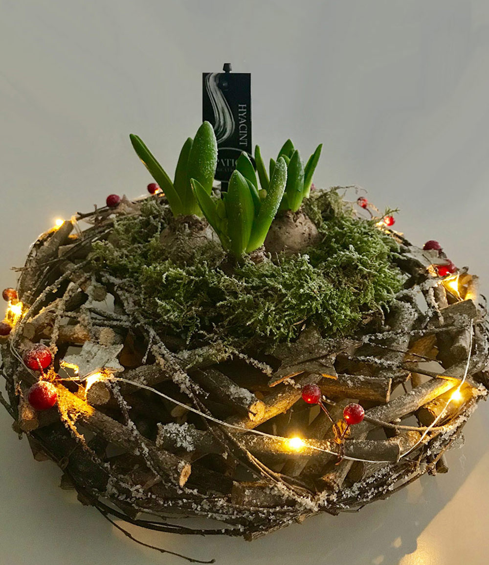 Kranz mit LED Lichterkette und 3 weißen Hyazinthen