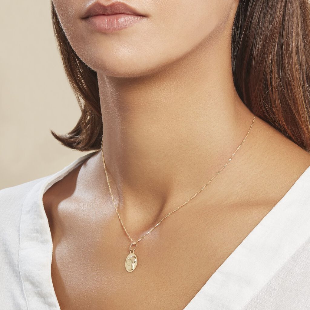 Pendentif Vierge Ovale Or Jaune
