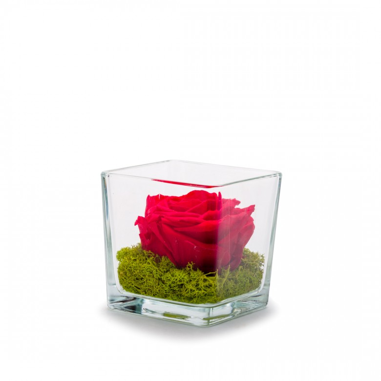 Verrine genova 10 cm rose stabilisée