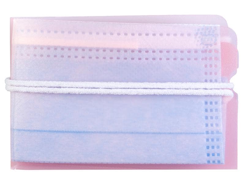 FTM Schutzhülle für Hygienemasken, 4 Stück, farbig Faltbox zur Aufbewahrung von einer Einweg-Hygienemaske