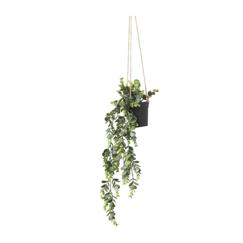 Hangplant - 65 cm