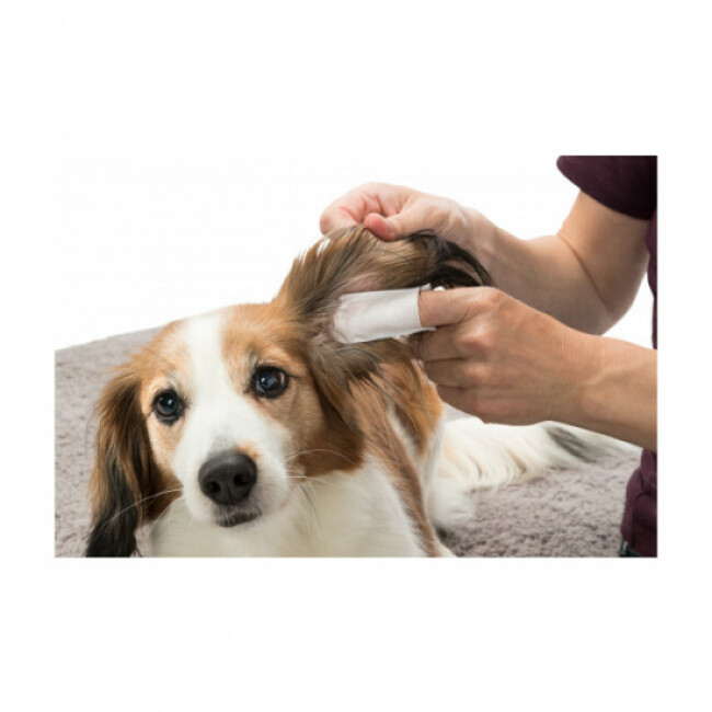Doigtier pour soin des oreilles à usage unique pour chat et chien Trixie