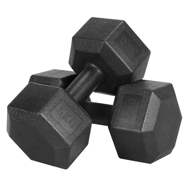 Yaheetech Hanteln 2er Set Kurzhanteln 5 Kg Hantelstangen mit Oberfläche aus Kunststoff für Krafttraining, Gymnastik und Fitness