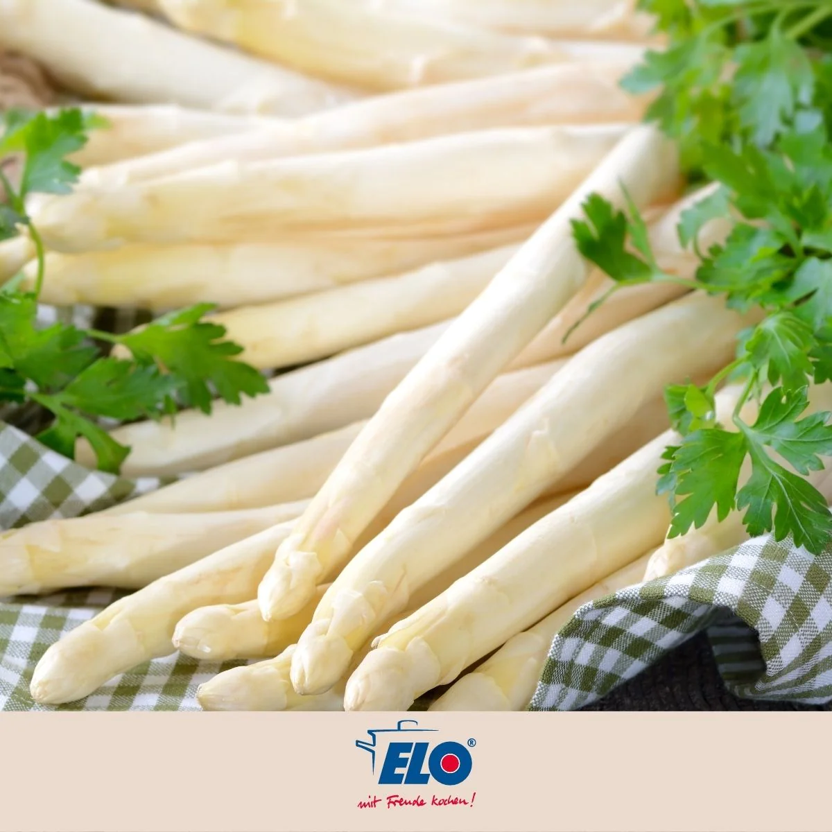 Cuiseur à asperges inox avec couvercle 4 litres Elo Brillant Elo
